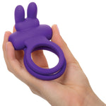 Rockin Rabbit Rechargeable